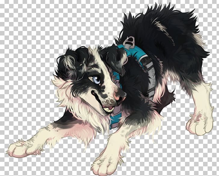 Dog Breed Border Collie Puppy Rough Collie Snout PNG, Clipart, Animals, Bit By A Dead Bee, Border Collie, Breed, Carnivoran Free PNG Download