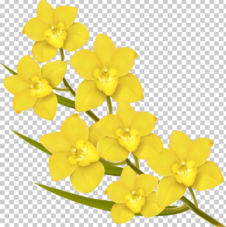 Flower Euclidean Yellow PNG, Clipart, Art, Beautiful, Cut Flowers, Encapsulated Postscript, Flower Bouquet Free PNG Download