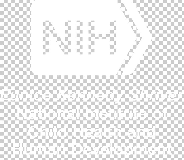 United Nations University Institute On Computing And Society Email Business Information Computer Software PNG, Clipart, Angle, Business, Client, Communication, Company Free PNG Download