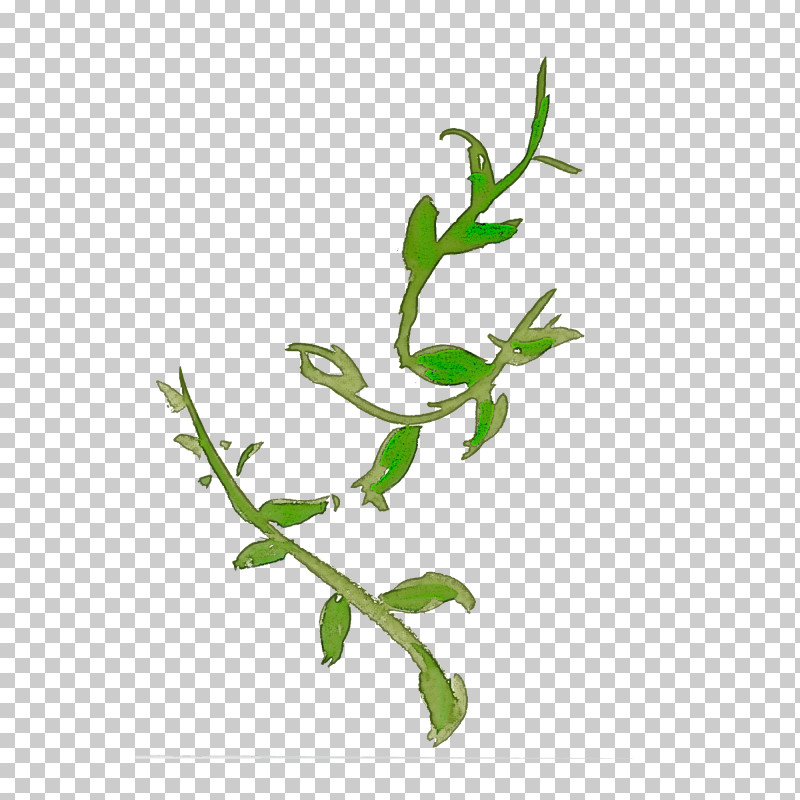 Flower Plant Leaf Branch Plant Stem PNG, Clipart, Branch, Flower, Leaf, Plant, Plant Stem Free PNG Download