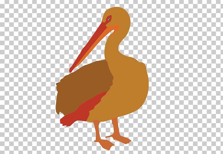 Beak Bird Brown Pelican PNG, Clipart, Anatidae, Animal, Animals, Beak, Bird Free PNG Download