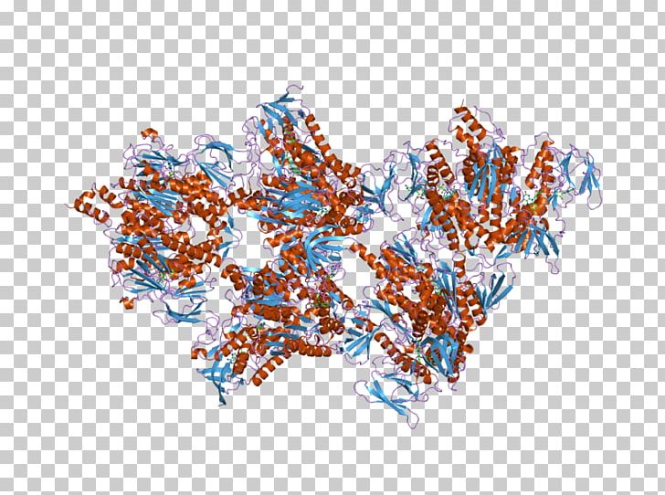 Dihydrolipoamide Dehydrogenase Pyruvate Dehydrogenase Dihydrolipoyl Transacetylase PNG, Clipart, Bind, Coenzyme A, Deh, Enzyme, Flavin Adenine Dinucleotide Free PNG Download