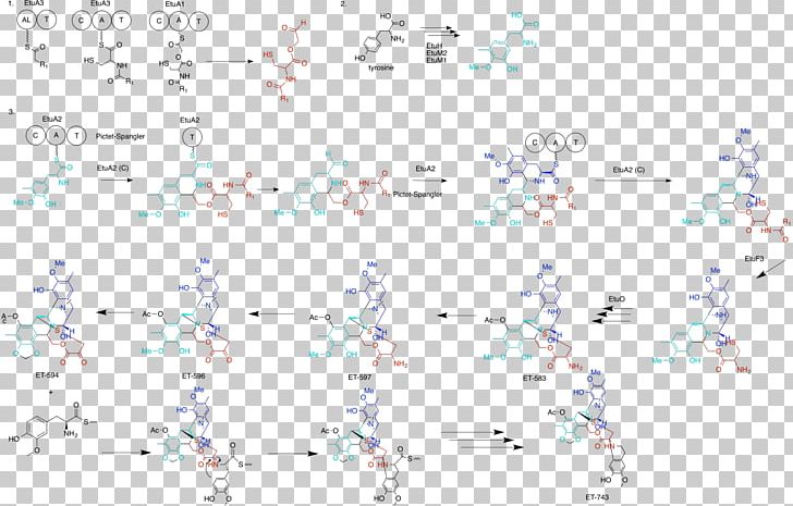 Line Point Angle PNG, Clipart, Angle, Area, Art, Biosynthesis, Diagram Free PNG Download