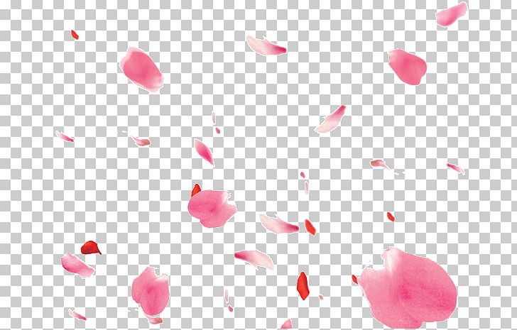 Petal PNG, Clipart, Adobe Fireworks, Beauty, Blossom, Closeup, Computer Icons Free PNG Download