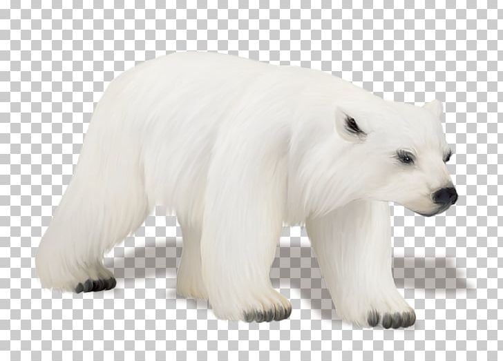 Polar Bear Drawing PNG, Clipart, Animal, Animal Figure, Animals, Bear, Blog Free PNG Download