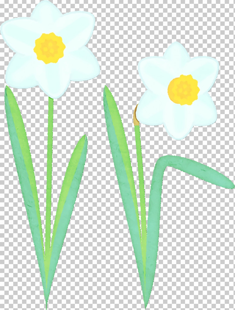 Plant Stem Cut Flowers Narcissus Yellow Petal PNG, Clipart, Biology, Cut Flowers, Flower, Narcissus, Paint Free PNG Download