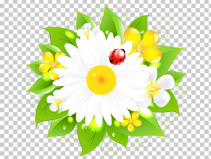 Common Daisy Drawing Flower PNG, Clipart, Child, Chrysanths, Clip Art, Closeup, Common Daisy Free PNG Download