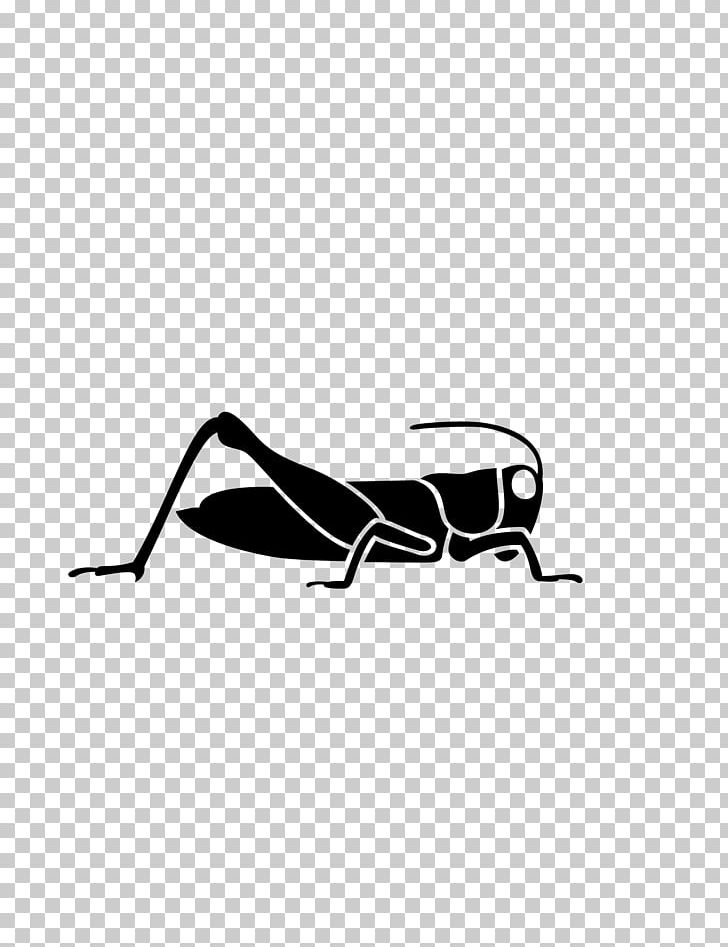 Grasshopper Caelifera Paper Sticker PNG, Clipart, Angle, Black, Black And White, Bumper Sticker, Bush Crickets Free PNG Download