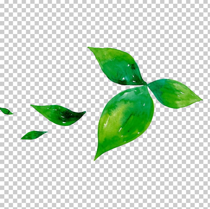 Green Tea Leaf Matcha PNG, Clipart, Background Green, Black Tea, Cup, Download, Food Drinks Free PNG Download