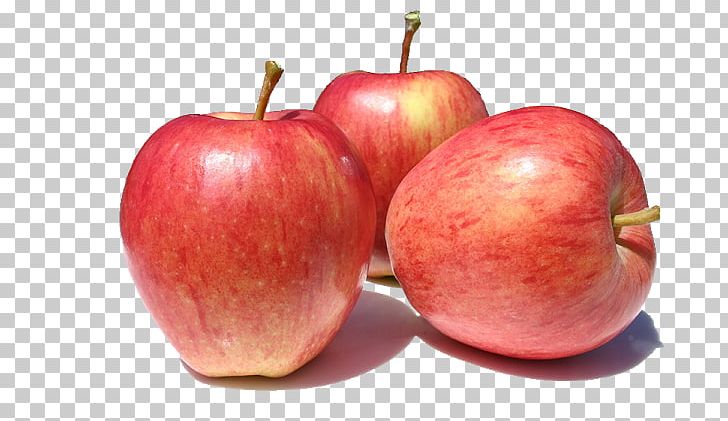 Organic Food Gala Apple Fuji Fruit PNG, Clipart, Accessory Fruit, Apple, Apple Sauce, Cripps Pink, Delivery Free PNG Download