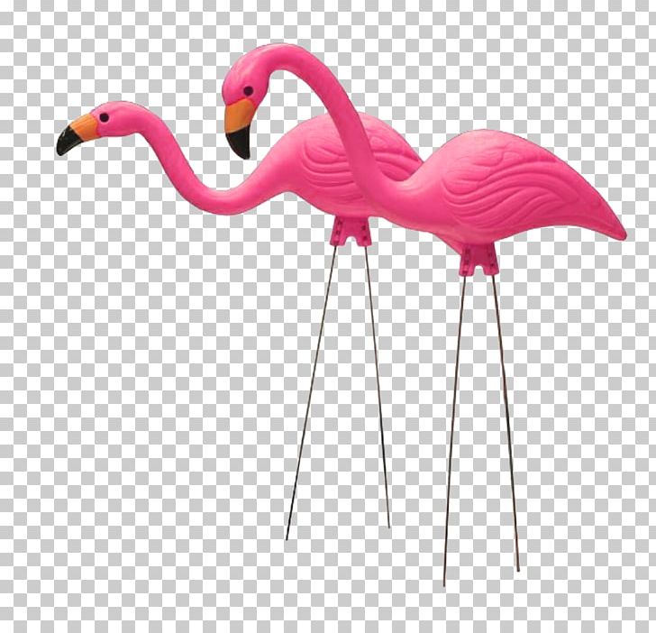 Plastic Flamingo United States Lawn Ornaments & Garden Sculptures Garden Ornament PNG, Clipart, Amp, Animals, Art, Beak, Bird Free PNG Download