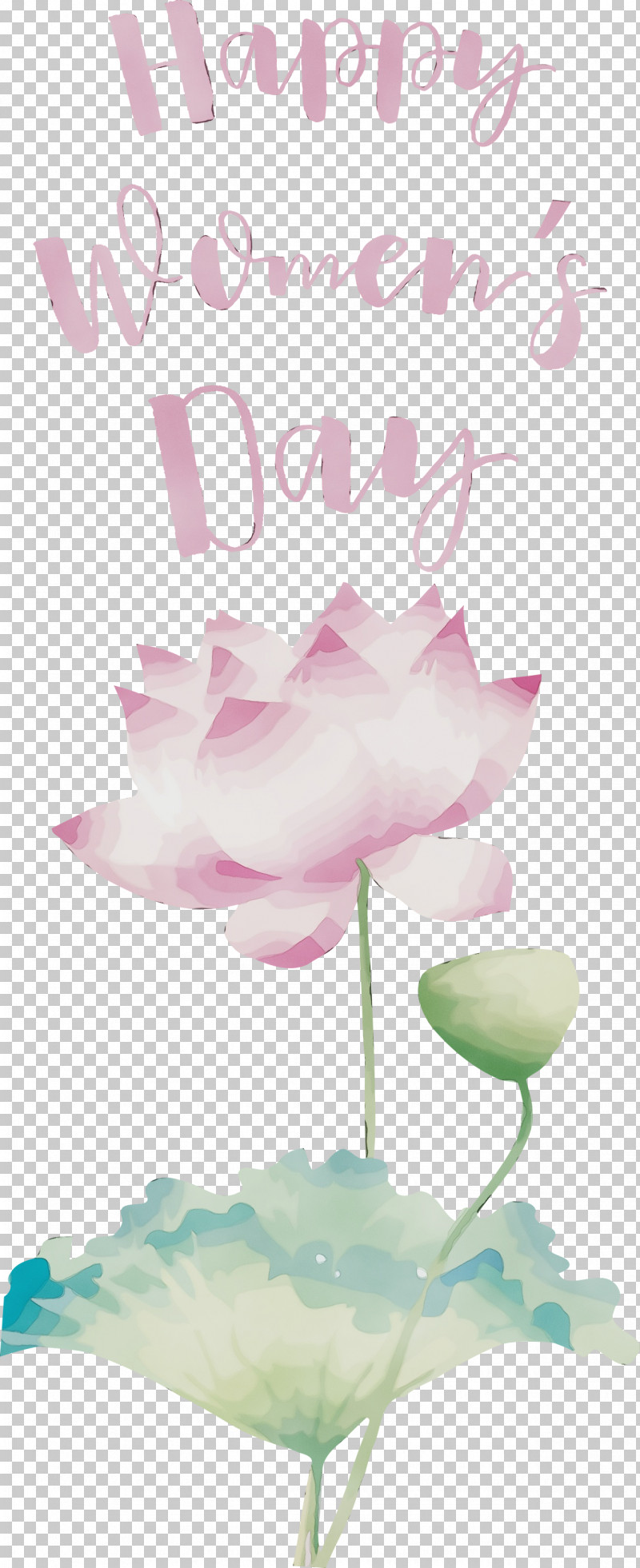 Floral Design PNG, Clipart, Cut Flowers, Floral Design, Happy Womens Day, Meter, Paint Free PNG Download