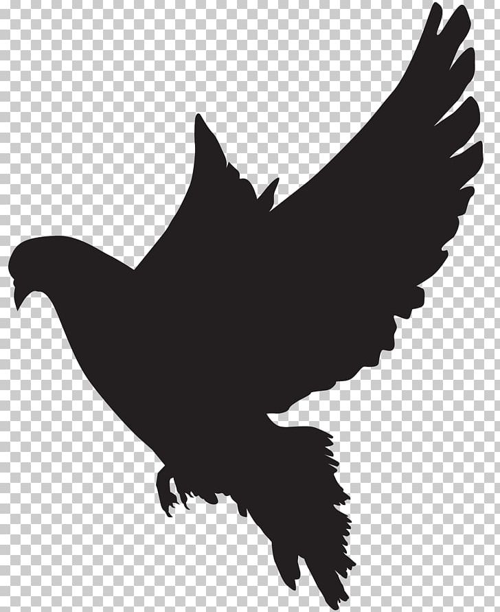 Columbidae Bird Silhouette PNG, Clipart, Art, Beak, Bird, Bird Of Prey, Black And White Free PNG Download