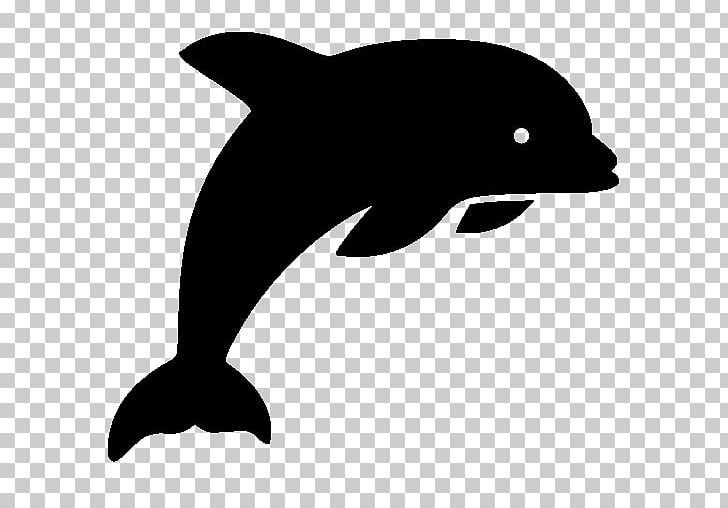 Computer Icons Porpoise Common Bottlenose Dolphin Tucuxi PNG, Clipart, Animals, Beak, Black And White, Cetacea, Common Bottlenose Dolphin Free PNG Download
