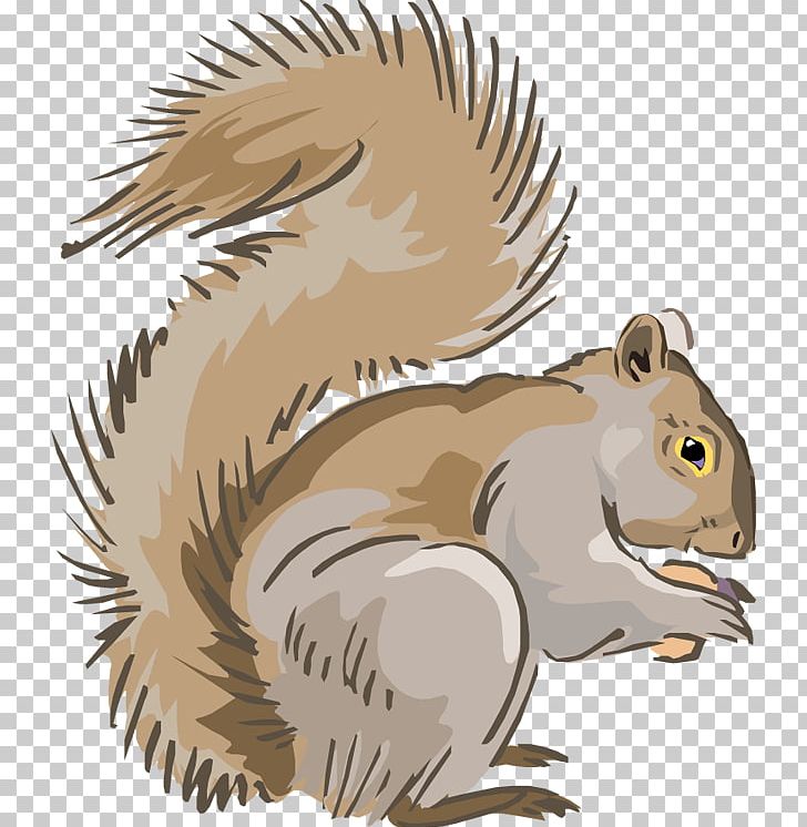 Eastern Gray Squirrel Chipmunk PNG, Clipart, Beak, Bird, Carnivoran, Cartoon, Chipmunk Free PNG Download