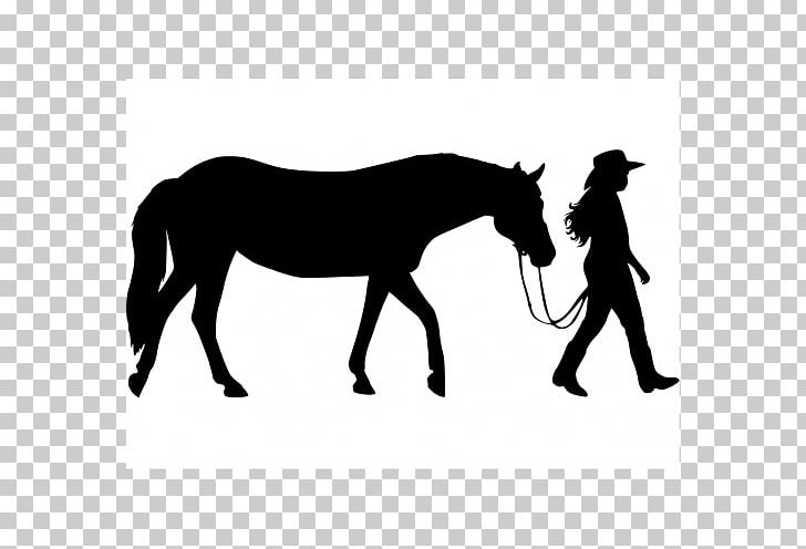 Horse Foal Equestrian Wall Decal Silhouette PNG, Clipart, Animals, Black And White, Bridle, Child, Colt Free PNG Download