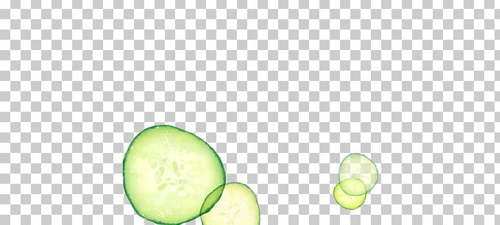 Melon Fruit PNG, Clipart, Banana Slices, Circle, Computer, Computer Wallpaper, Cucumber Gourd And Melon Family Free PNG Download