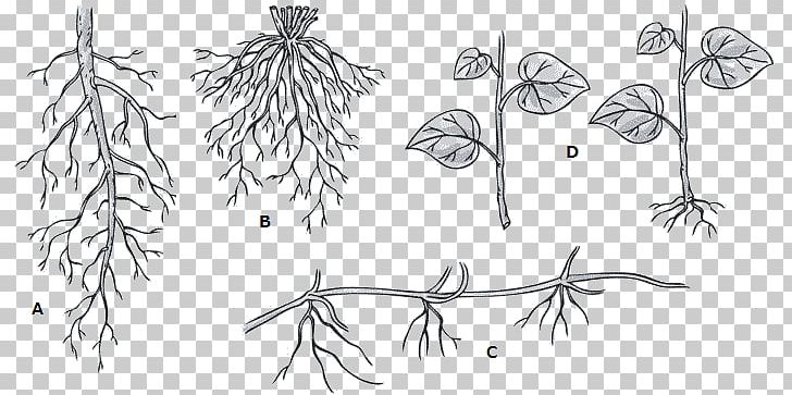 Twig /m/02csf Line Art Plant Stem Drawing PNG, Clipart, Angle, Artwork, Black And White, Branch, Drawing Free PNG Download