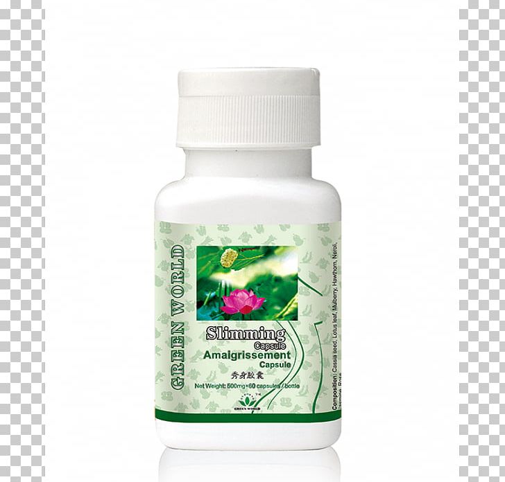 Green World International Dietary Supplement Weight Loss Capsule Food PNG, Clipart, Business, Capsule, Dietary Supplement, Eco Slim In Pakistan, Food Free PNG Download
