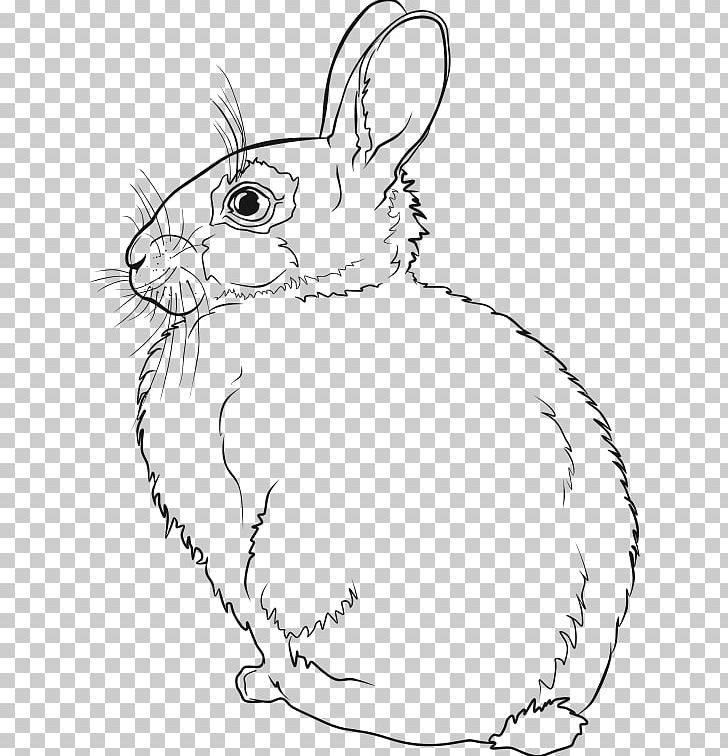 Hare Easter Bunny Line Art Rabbit Drawing PNG, Clipart, Animals, Art, Artwork, Black And White, Cat Free PNG Download
