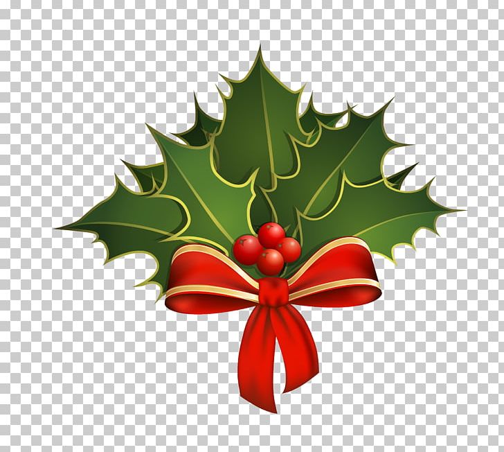 Holly Stock Photography PNG, Clipart, Aquifoliaceae, Aquifoliales, Branch, Christmas, Christmas Decoration Free PNG Download