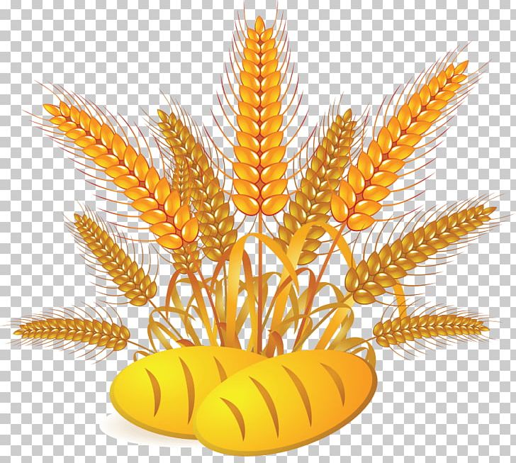 Wheat Graphics Bread PNG, Clipart, Bread, Cereal, Commodity, Computer Icons, Ear Free PNG Download