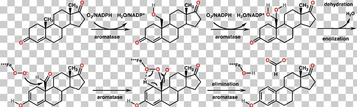 Aromatase Trenbolone Molecule Steroid Oxandrolone PNG, Clipart, Angle, Annulation, Area, Aromatase, Aromaticity Free PNG Download