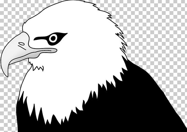 Bald Eagle Drawing PNG, Clipart, Accipitriformes, Animals, Art, Artwork, Bald Eagle Free PNG Download