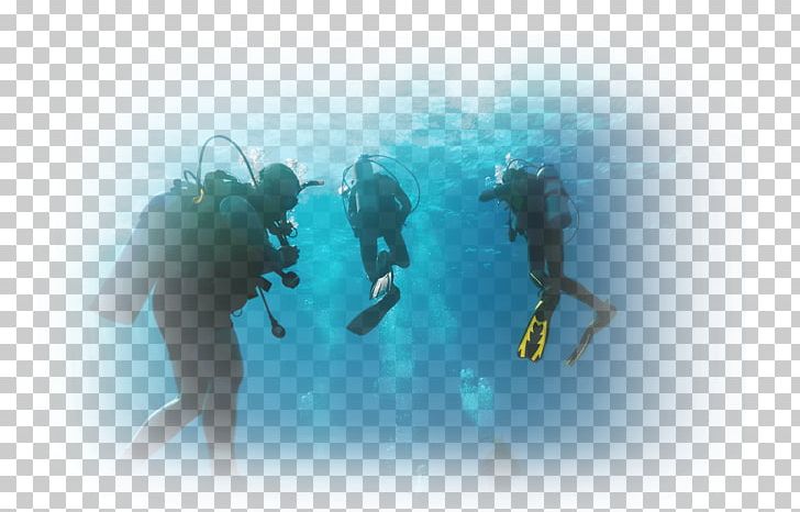 Scuba Diving Marsa Alam Hurghada Dry Suit Underwater Diving PNG, Clipart, Aqua, Aquanaut, Marine Biology, Open Water Diver, Organism Free PNG Download