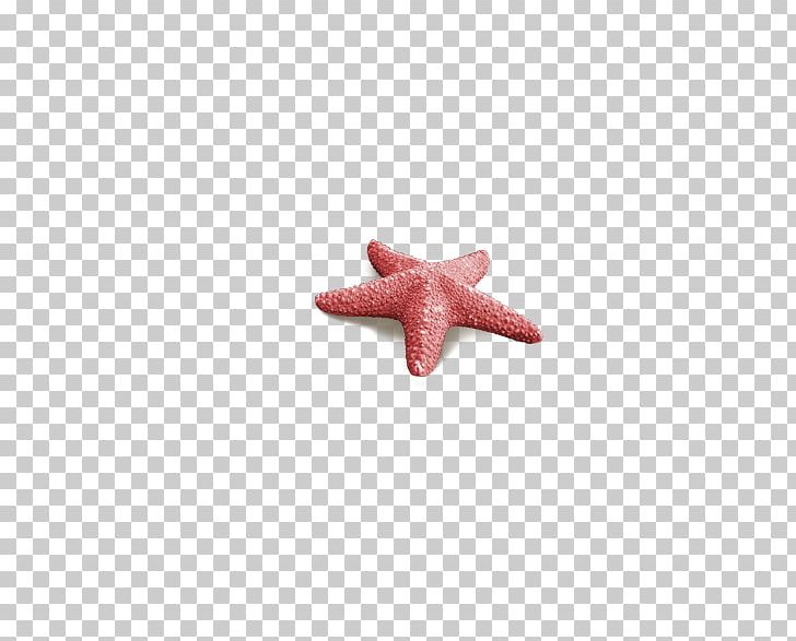 Starfish Pattern PNG, Clipart, Animals, Beautiful Starfish, Cartoon Starfish, Life, Line Free PNG Download
