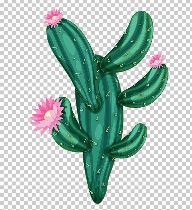 Cactaceae Drawing PNG, Clipart, Caryophyllales, Desert, Erg, Euclidean Vector, Flower Free PNG Download