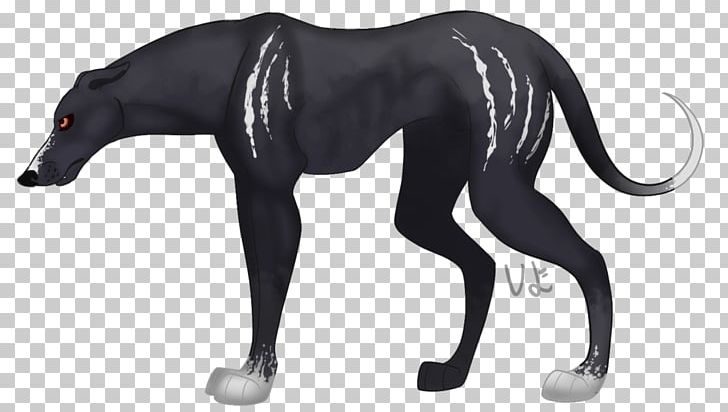 Canidae Cat Dog Neck PNG, Clipart, Animals, Black, Black M, Canidae, Carnivoran Free PNG Download