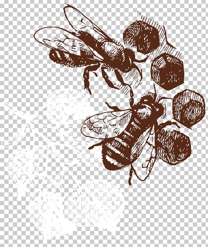 Honey Bee Honeycomb PNG, Clipart, Beeeater, Beehive, Bee Vector, Hand Drawn, Happy Birthday Vector Images Free PNG Download