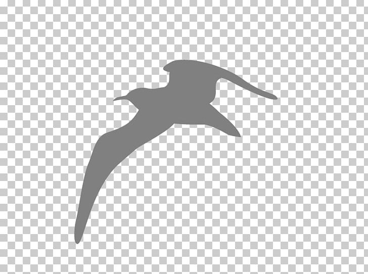 Bird Gulls Computer Icons Kittiwake PNG, Clipart, Albatross, Animal, Animals, Beak, Bird Free PNG Download