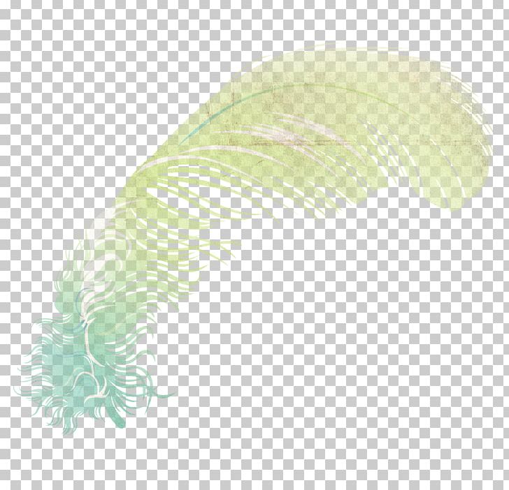 Feather Wing Illustration PNG, Clipart, Angle, Animals, Bird, Butterfly, Cartoon Free PNG Download