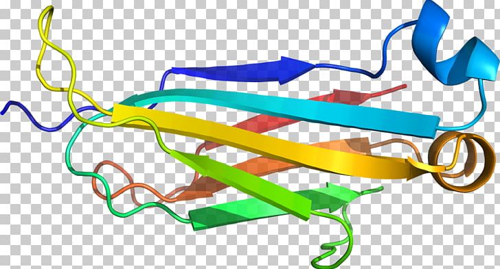 Line PNG, Clipart, Area, Art, Chloride Channel, Line Free PNG Download
