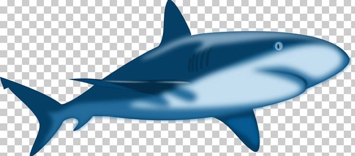 Shark Jaws Free Content PNG, Clipart, Bull Shark, Cartilaginous Fish, Cartoon, Dolphin, Fin Free PNG Download