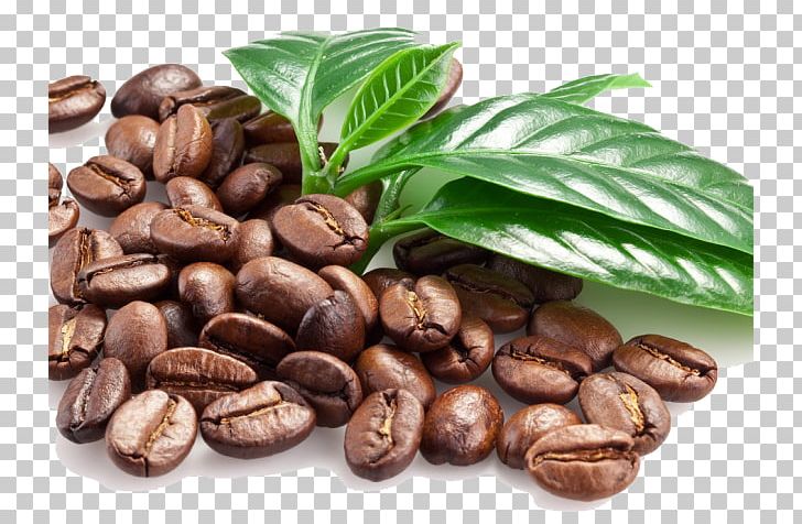 Coffee Cafe Cold Brew Espresso Tea PNG, Clipart, Bean, Brewed Coffee, Cafe, Caffeine, Cocoa Bean Free PNG Download