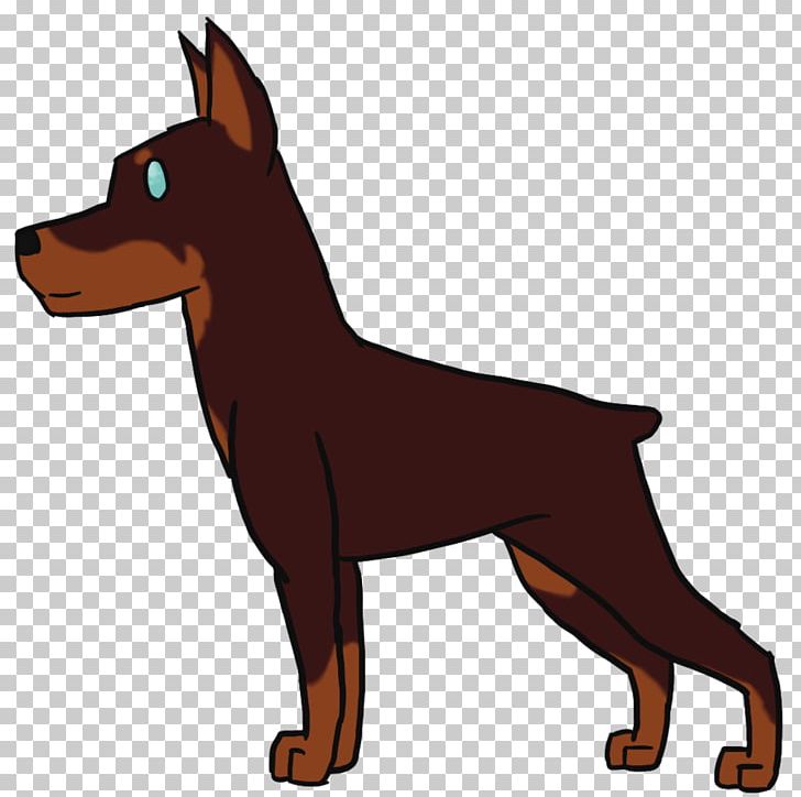 Lancashire Heeler Miniature Pinscher German Pinscher Manchester Terrier Australian Kelpie PNG, Clipart, Animals, Australian Cattle Dog, Breed, Carnivoran, Dog Free PNG Download