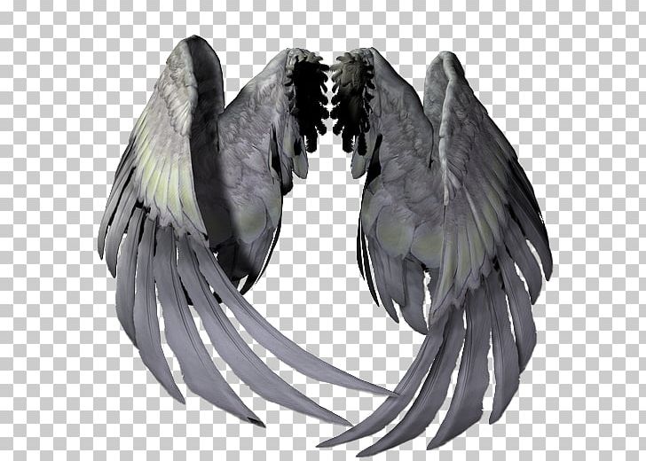 Portable Network Graphics Adobe Photoshop Angel GIF PNG, Clipart, Angel, Angel Wings, Beak, Bird, Borboleta Free PNG Download