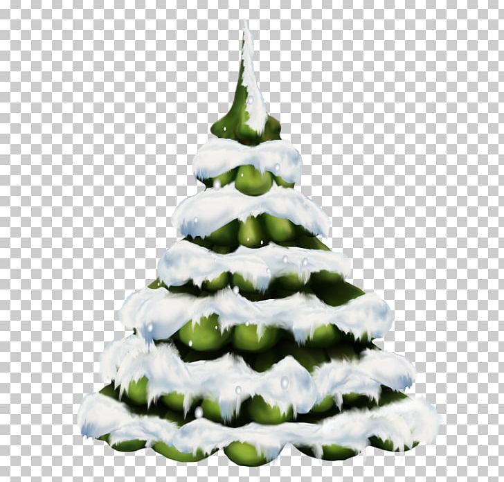 Christmas Tree Pine PNG, Clipart, Christmas, Christmas Decoration, Christmas Ornament, Christmas Tree, Conifer Free PNG Download