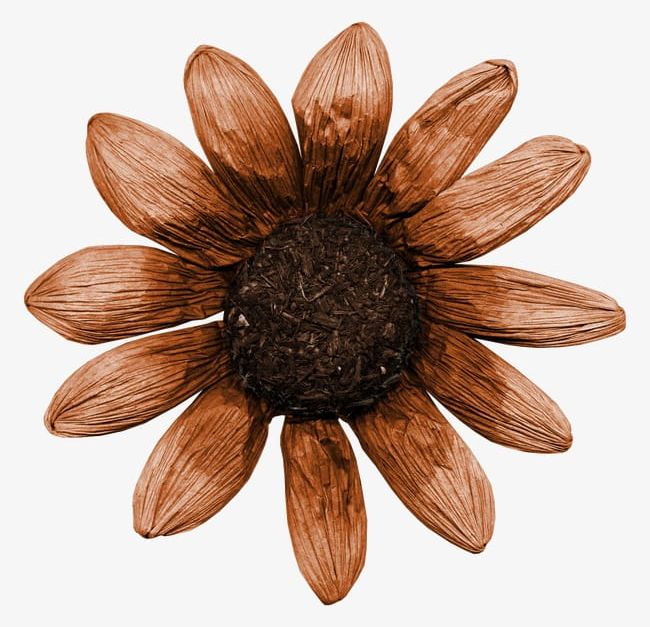 Aesthetic Brown Flowers PNG Images