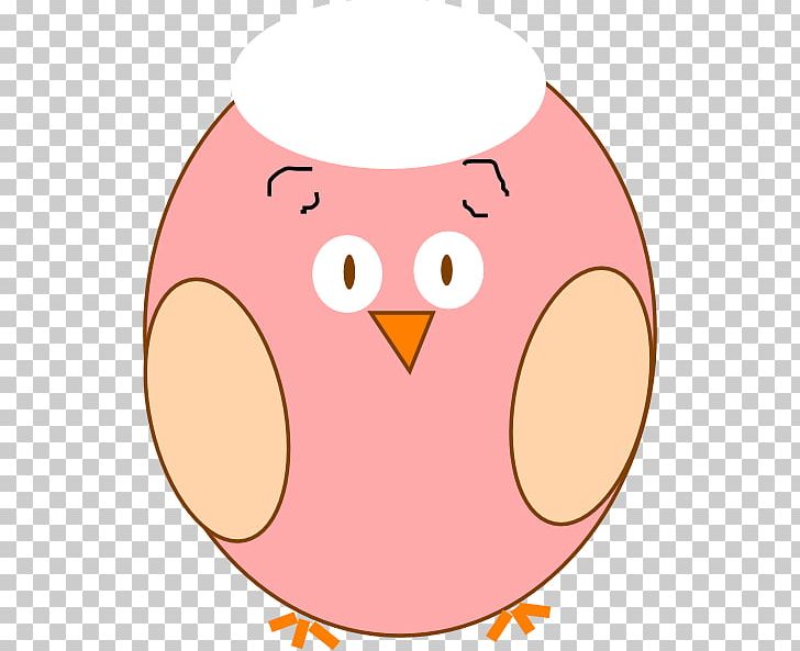 Owl Illustration Graphics PNG, Clipart, Area, Art, Beak, Bird, Cartoon Free PNG Download