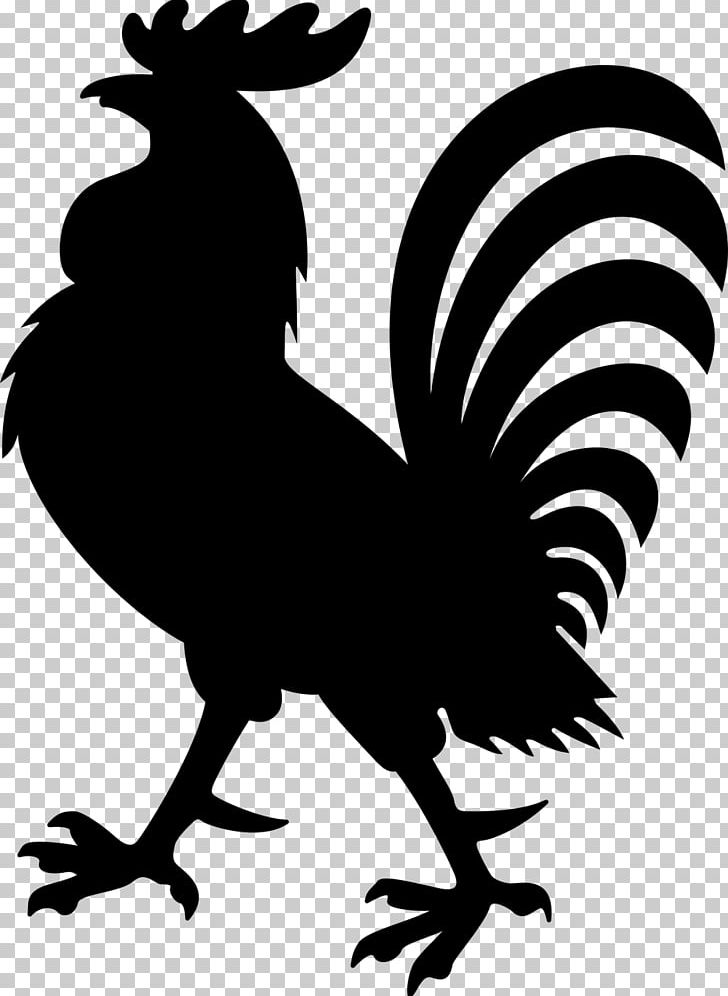 Rooster Chicken PNG, Clipart, Animals, Beak, Bird, Black And White, Chicken Free PNG Download