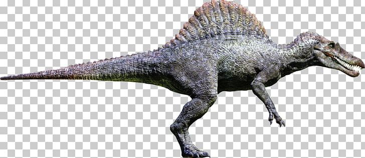 Spinosaurus Tyrannosaurus Giganotosaurus Ankylosaurus Carcharodontosaurus PNG, Clipart, Allosaurus, Animal Figure, Ankylosaurus, Carnivore, Carnotaurus Free PNG Download