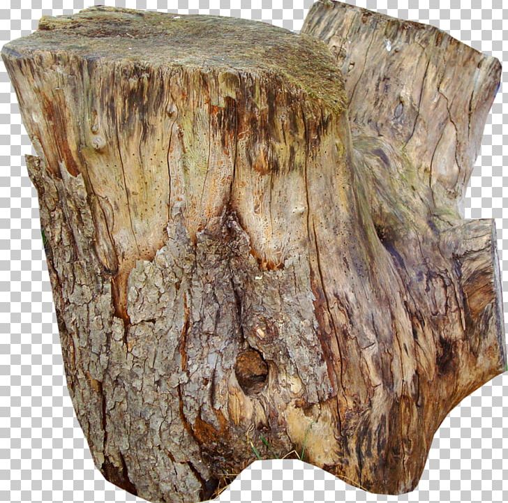 Table Trunk Tree Stump Wood PNG, Clipart, Artifact, Banyan, Bark, Branch, Fossil Free PNG Download