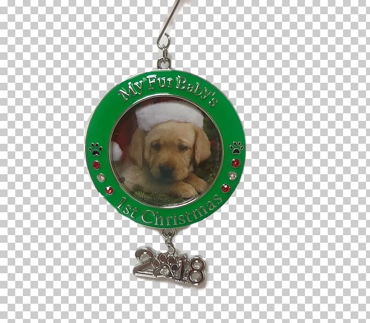 Dog Christmas Ornament Christmas Day PNG, Clipart, Christmas Day, Christmas Ornament, Dog, Dog Like Mammal Free PNG Download