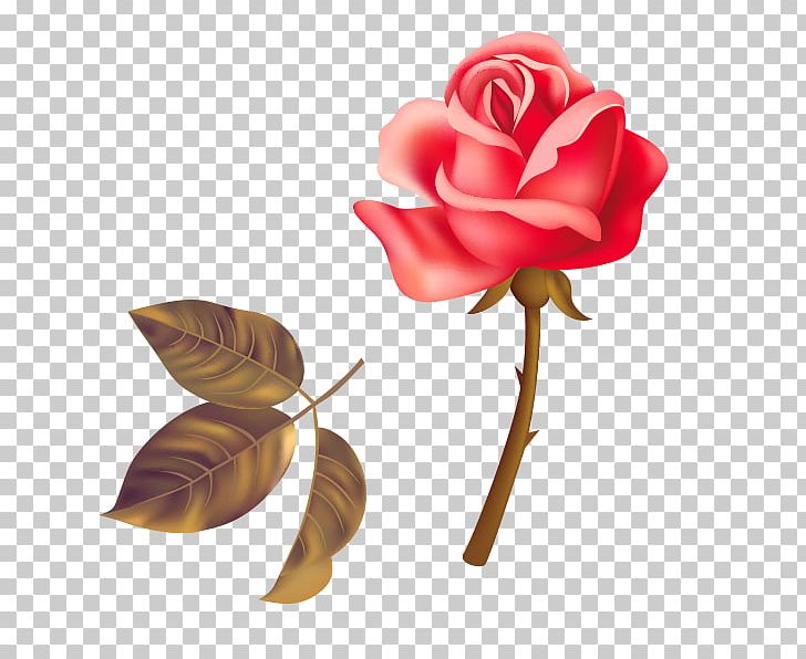 Garden Roses Beach Rose Red PNG, Clipart, Adobe Illustrator, Beach Rose, Creative Artwork, Creative Background, Creative Graphics Free PNG Download