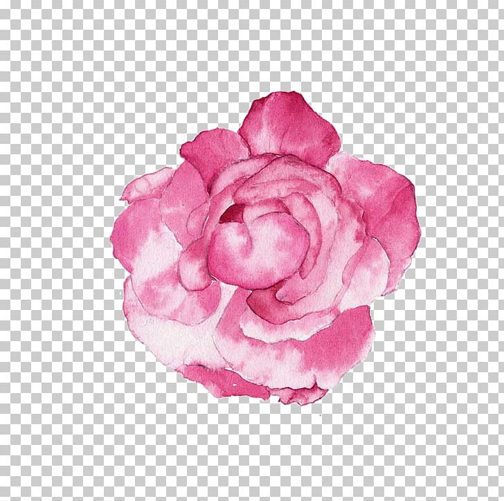Watercolour Flowers Watercolor Painting Illustration PNG, Clipart, Art, Camellia, Color, Flower, Hand Free PNG Download