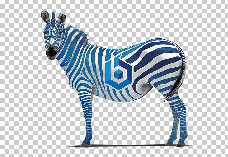 Quagga Zebra Horse Frames Painting PNG, Clipart, Android, Animal Figure, Animals, Cobalt Blue, Desktop Wallpaper Free PNG Download